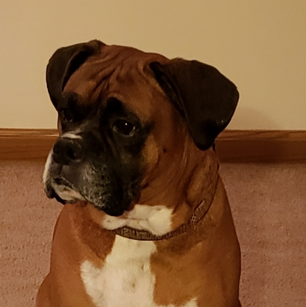 Meet your Posher, Patty